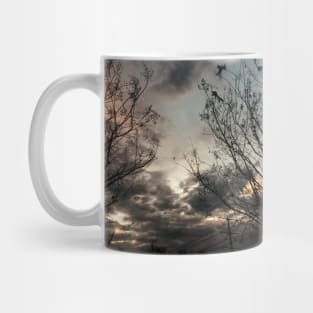 Stormy Weather Mug